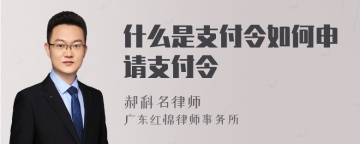 什么是支付令如何申请支付令