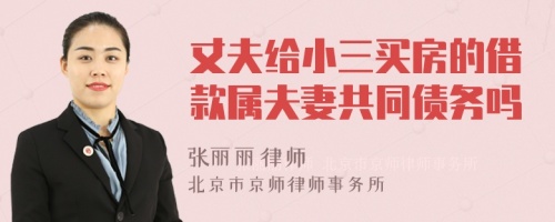 丈夫给小三买房的借款属夫妻共同债务吗