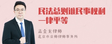 民法总则谁民事权利一律平等