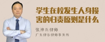 学生在校发生人身损害的归责原则是什么