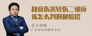 故意伤害轻伤二级应该怎么判刑和赔偿