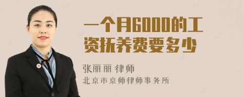 一个月6000的工资抚养费要多少