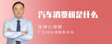 汽车消费税是什么