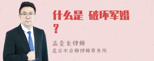 什么是 破坏军婚 ？