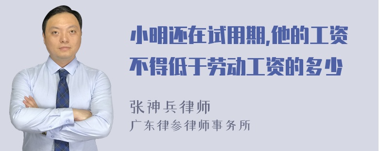 小明还在试用期,他的工资不得低于劳动工资的多少