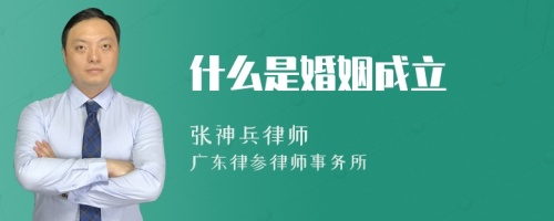 什么是婚姻成立