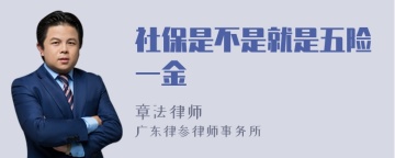 社保是不是就是五险一金