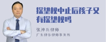 探望权中止后孩子又有探望权吗