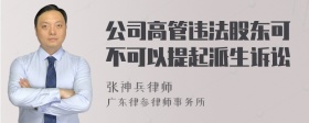 公司高管违法股东可不可以提起派生诉讼