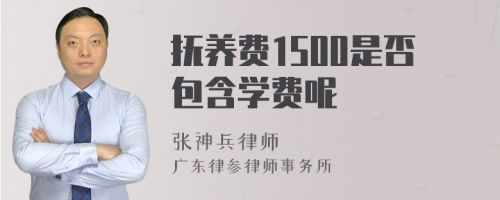 抚养费1500是否包含学费呢