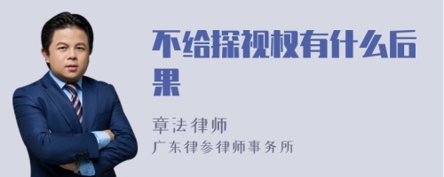 不给探视权有什么后果