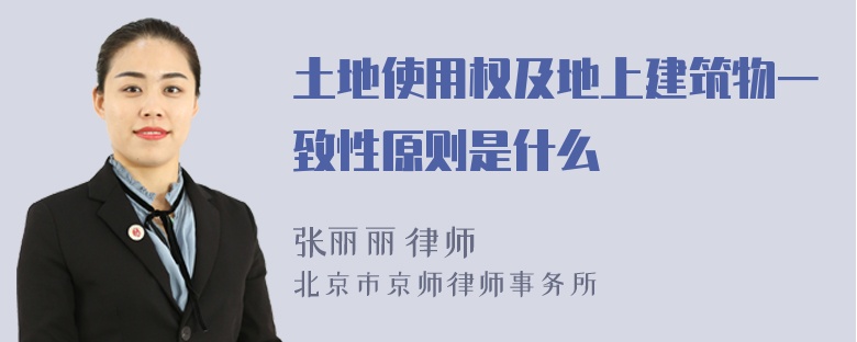 土地使用权及地上建筑物一致性原则是什么