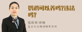 鹦鹉可以养吗?违法吗?