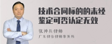 技术合同标的的未经鉴定可否认定无效