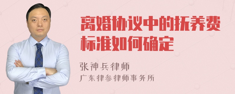 离婚协议中的抚养费标准如何确定