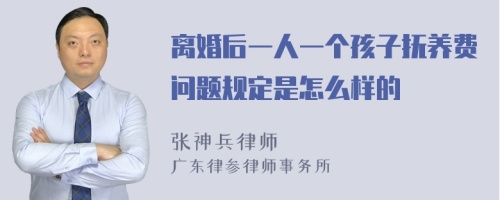 离婚后一人一个孩子抚养费问题规定是怎么样的