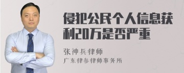 侵犯公民个人信息获利20万是否严重