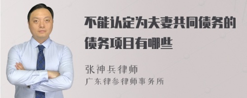 不能认定为夫妻共同债务的债务项目有哪些