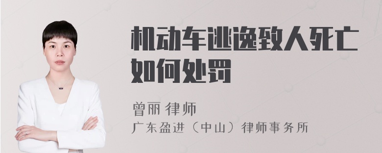 机动车逃逸致人死亡如何处罚