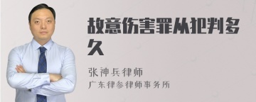 故意伤害罪从犯判多久