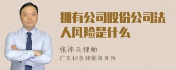 拥有公司股份公司法人风险是什么