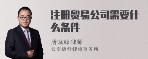 注册贸易公司需要什么条件