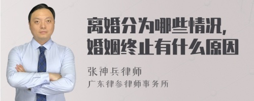 离婚分为哪些情况,婚姻终止有什么原因