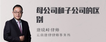 母公司和子公司的区别