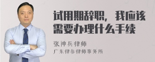 试用期辞职，我应该需要办理什么手续