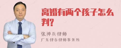 离婚有两个孩子怎么判?