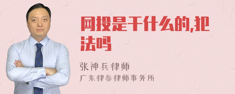 网投是干什么的,犯法吗