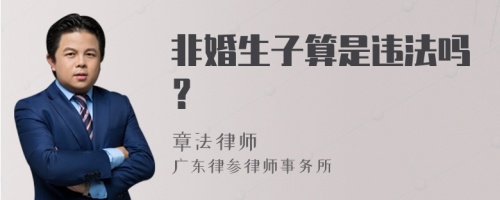 非婚生子算是违法吗？