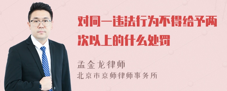 对同一违法行为不得给予两次以上的什么处罚