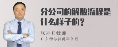 分公司的解散流程是什么样子的？