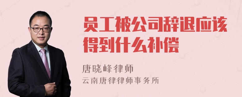 员工被公司辞退应该得到什么补偿