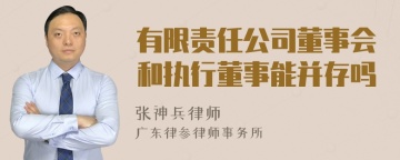 有限责任公司董事会和执行董事能并存吗