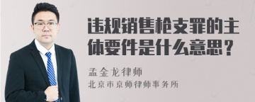 违规销售枪支罪的主体要件是什么意思？