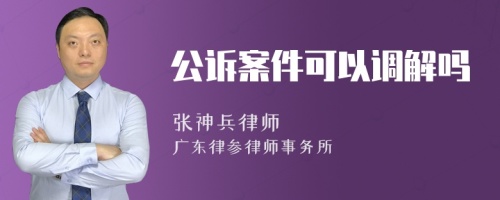 公诉案件可以调解吗