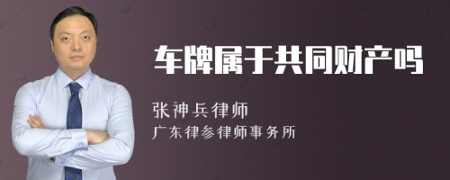 车牌属于共同财产吗