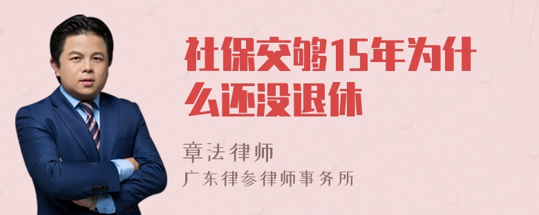 社保交够15年为什么还没退休