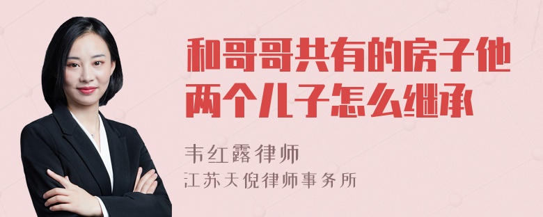 和哥哥共有的房子他两个儿子怎么继承