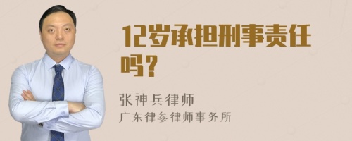 12岁承担刑事责任吗？