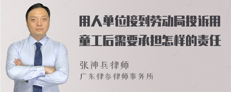 用人单位接到劳动局投诉用童工后需要承担怎样的责任