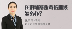 在柬埔寨贩毒被抓该怎么办？