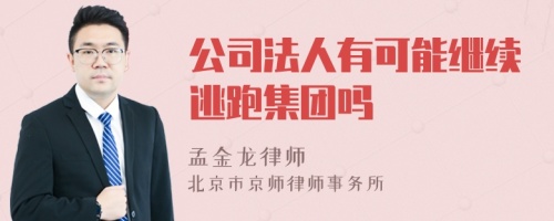 公司法人有可能继续逃跑集团吗