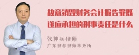 故意销毁财务会计报告罪既遂应承担的刑事责任是什么