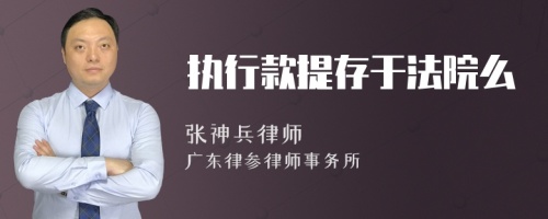 执行款提存于法院么