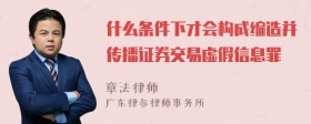 什么条件下才会构成编造并传播证券交易虚假信息罪