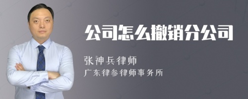 公司怎么撤销分公司