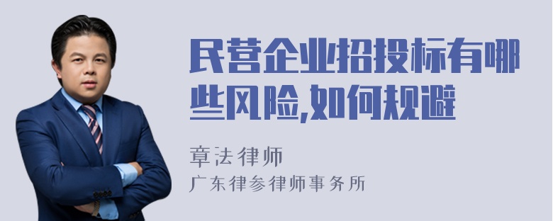 民营企业招投标有哪些风险,如何规避